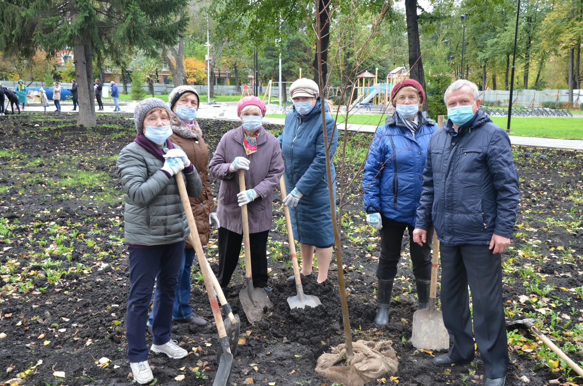 Дерево посажено подрумяненный корж впр. Посадка деревьев. Массовая высадка деревьев. Посадка деревьев благоустройство. Посадка деревьев в сквере.