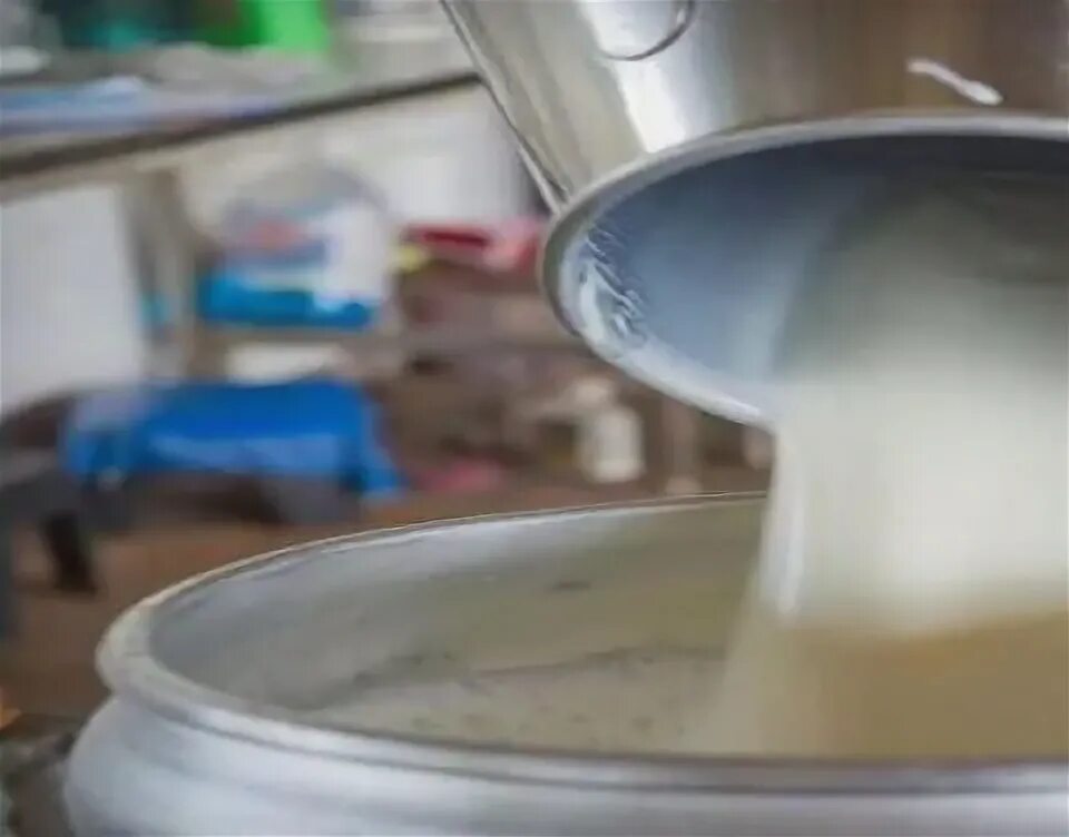 Молока якутия. Заготовка молока. Заготовка молока в Якутии. Молоко заготовка Якутия. Mnogo Milk.