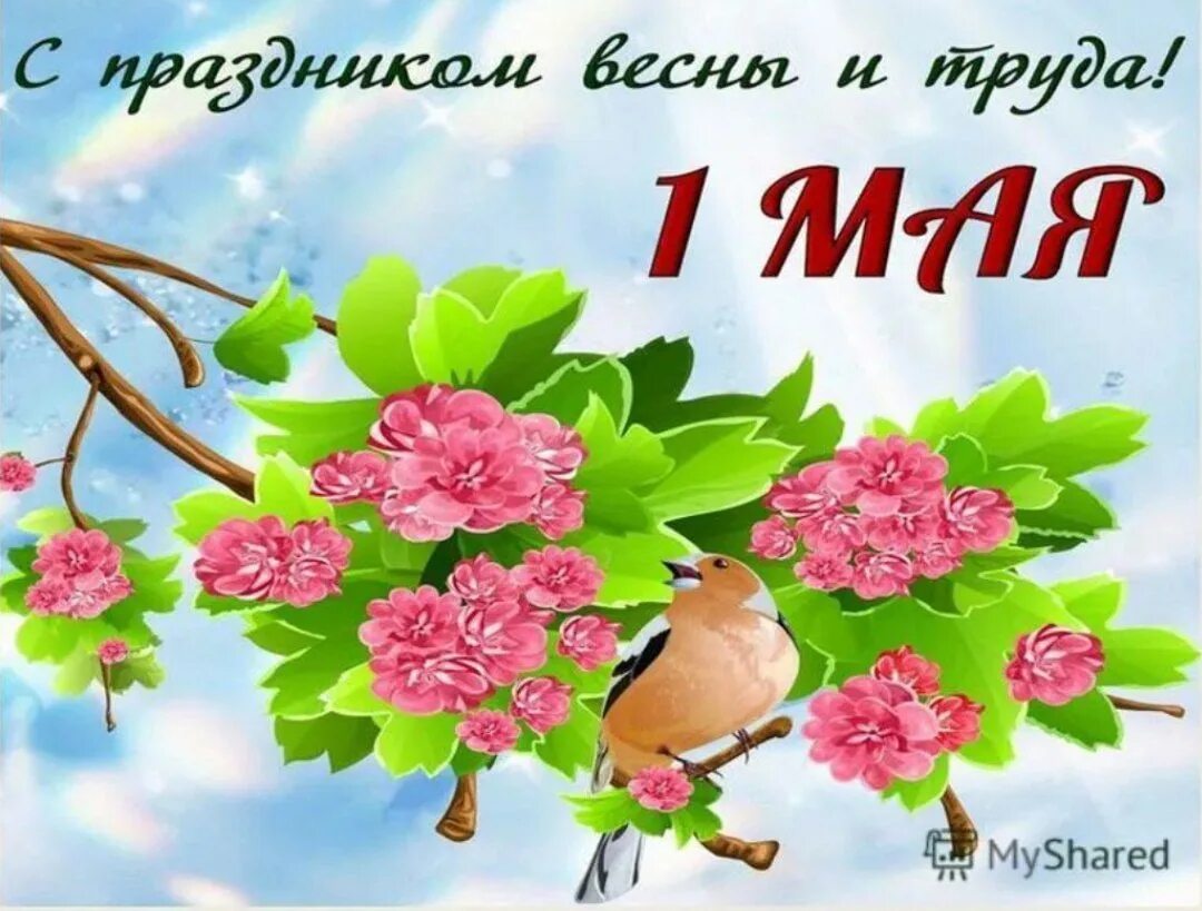 1 мая праздник весны картинки. День весны и труда. 1 Мая. С праздником 1 мая поздравления. С праздником весны и труда открытки.