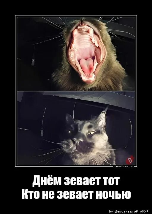 Не зевай давай давай