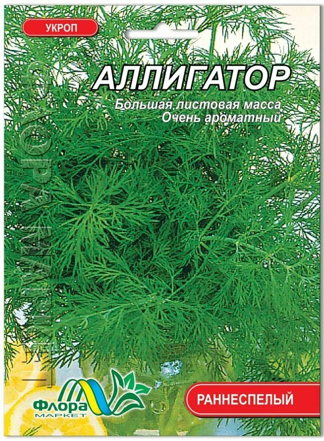 Укроп аллигатор описание. Семена укроп Аллигатор. Укроп Аллигатор Гавриш. Укроп сорт Аллигатор. Укроп Аллигатор раннеспелый.