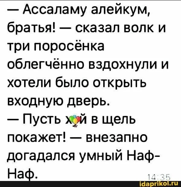 Песня салам алейкум всем вам добрый вечер. Ассаламу алейкум братья сказал волк. салам алейкум сказал волк и три поросенка. анекдот три поросенка салам алейкум. анекдот салам алейкум сказал волк.