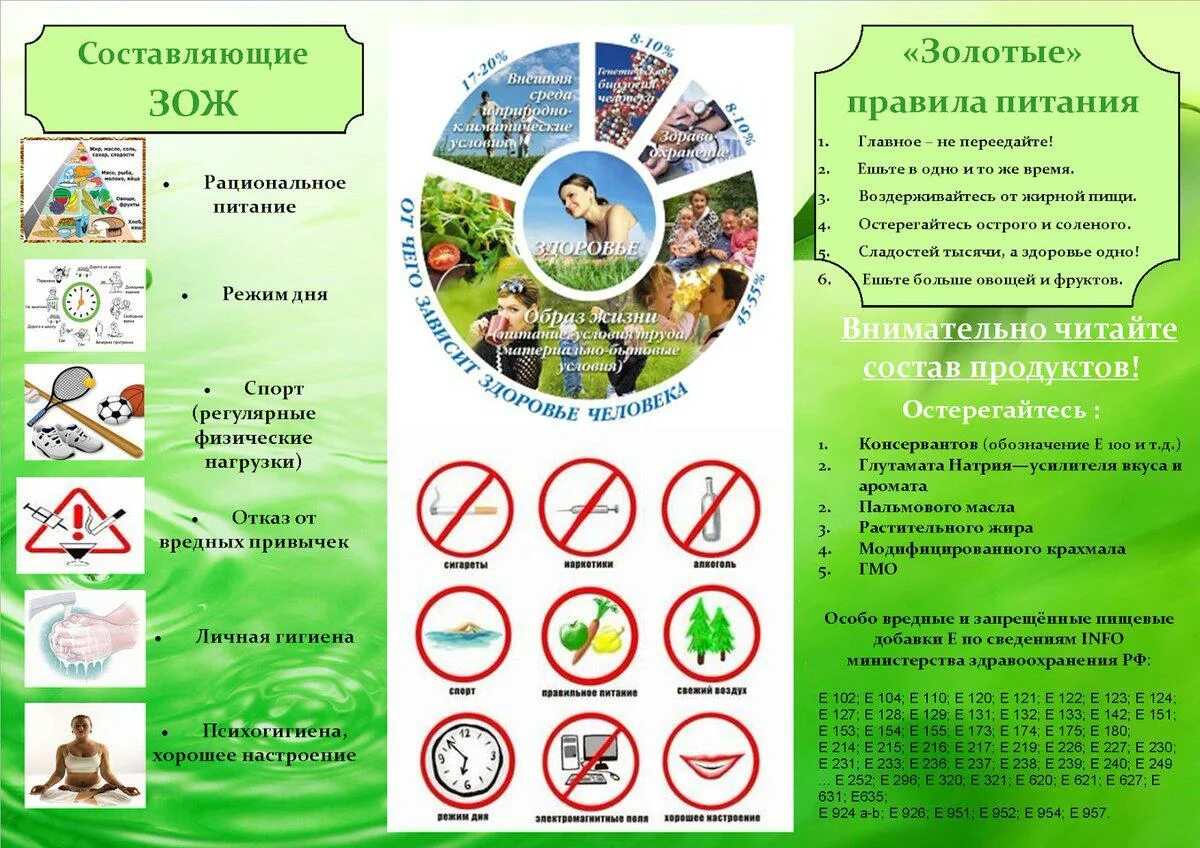 Профилактика и основы формирования здорового образа жизни. Буклет зож. буклеты по зож. памятка по здоровому образу жизни. памятка по зож.