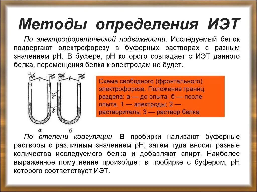 Белковая точка. Методы определения ИЭТ белка. Методы определения ИЭТ. Способы определения изоэлектрической точки. Методы определения изоэлектрической точки белка.