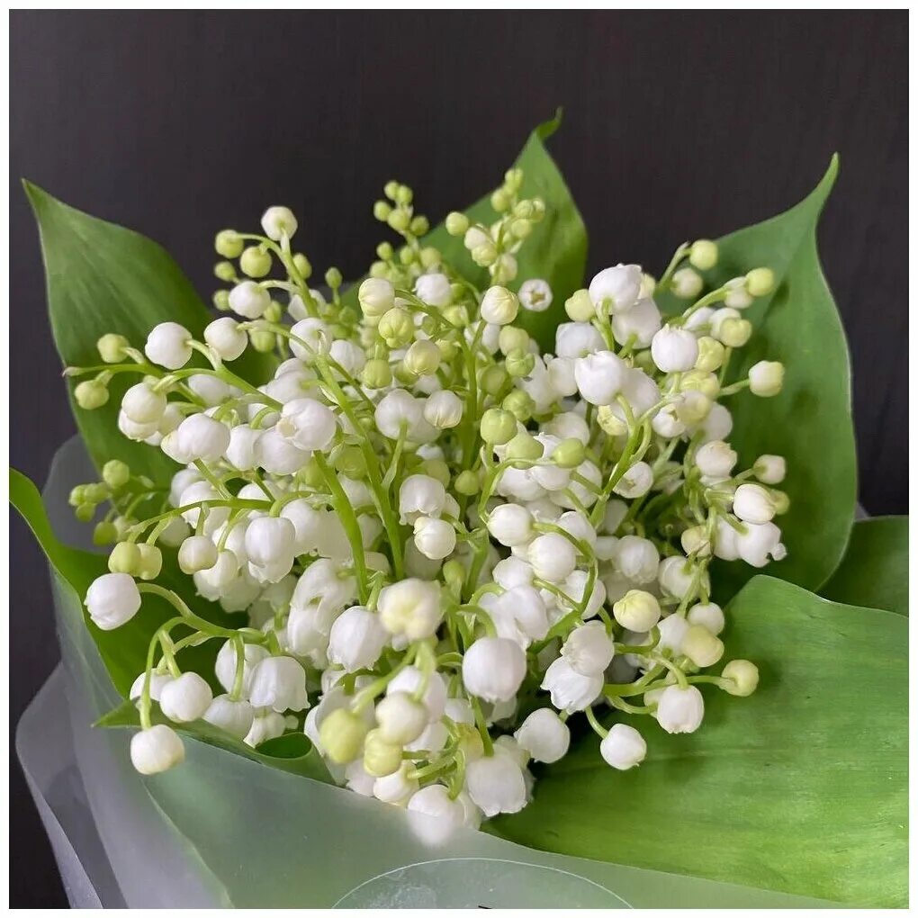Букет ландышей. Convallaria majalis. Ландыши отзывы. Слезы богородицы растение фото. Ландыши отзывы.