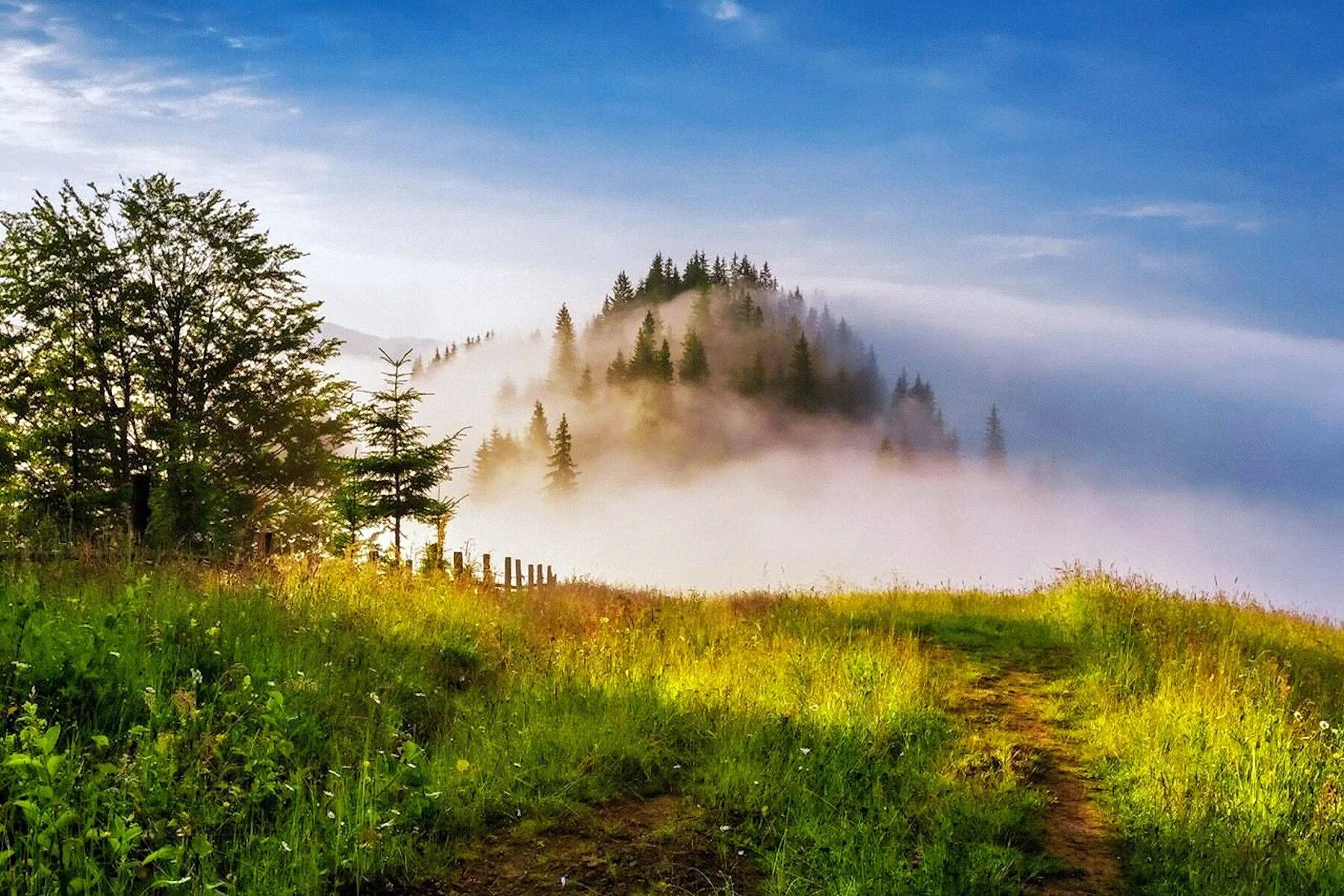 Холмы туман. Дземброня (гора). Село Дземброня Карпаты Украина. Карпаты Румыния холмы туман. Лысая гора Карпаты.