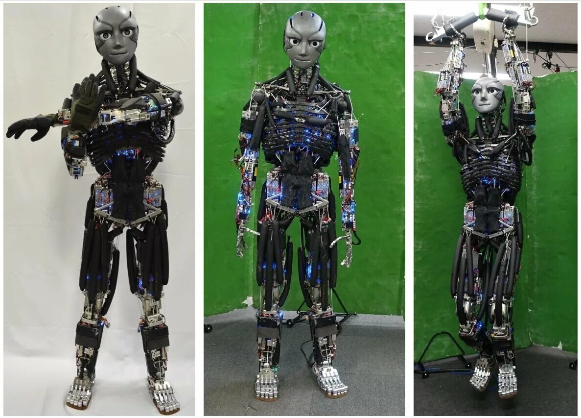 Робот андроид. Человекоподобный робот. Гуманоидный робот. Современные роботы. Обычного человека сделают роботом