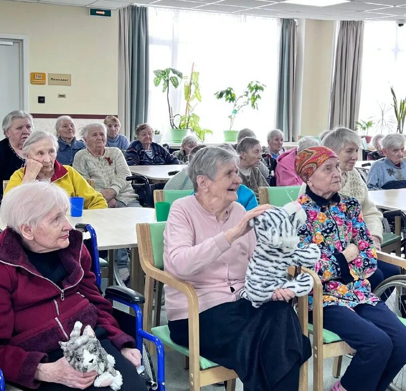 Курортный пансионат для пожилых. Пансионат для пожилых спб в песочном курортный. Дом престарелых в песочном хэсэд авраам. Пансионат для пожилых спб в песочном курортный. Пансионат для пожилых курортный.