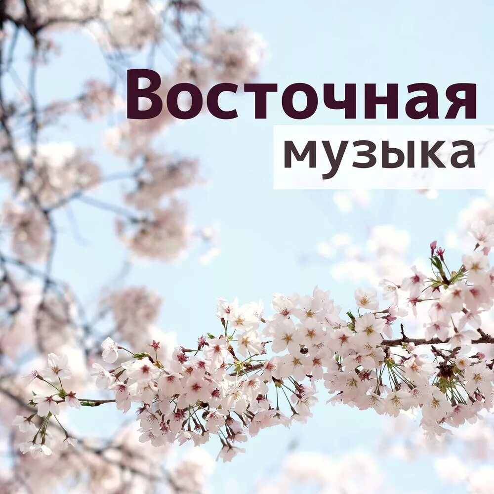 Релакс музыка на ночь. Музыка для сна. Мелодия сна. Релакс музыка для сна. Музыка для сна звезда.