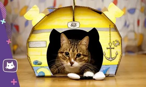 Котики домики для котиков