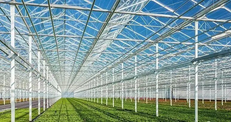 Greenhouse vegetable production emits high levels of nitrous oxide, study finds