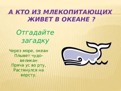 Через какой океан плыл