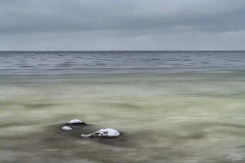 Боги белого моря
