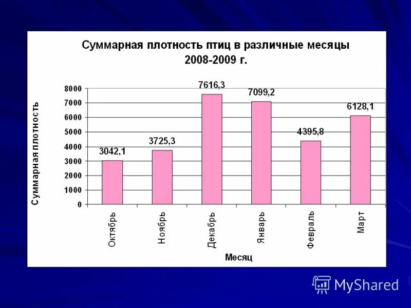 какая численность птиц. численность птиц на земле. численность птиц в россии. птица динамика. численность птиц.