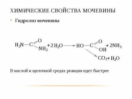 Гидролиз урок химии 9 класс