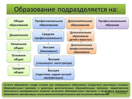 Базовое профессиональное образование это