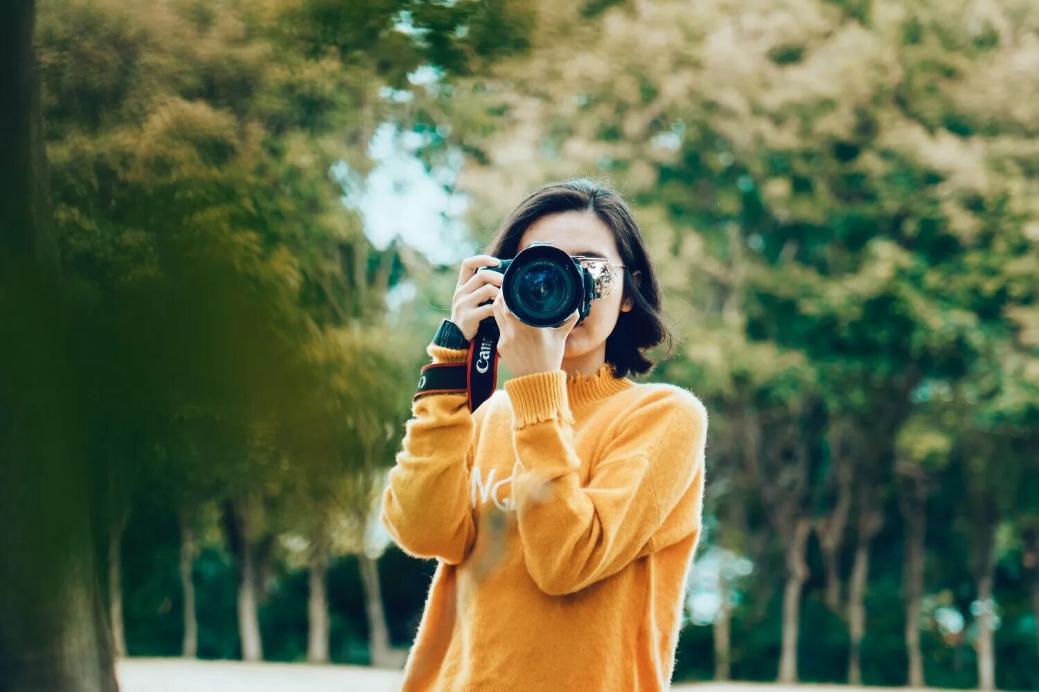 Up your photos