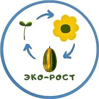 Эко ростов