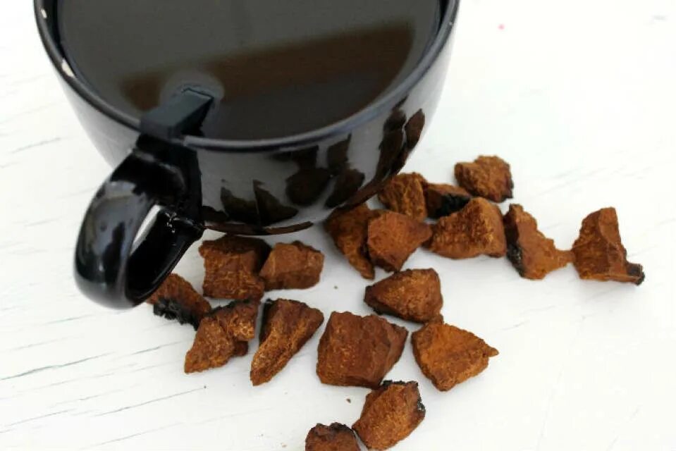 Chaga Tea. Чага. Чай из чаги. Настой чаги. Как правильно заварить чагу березовую и пить