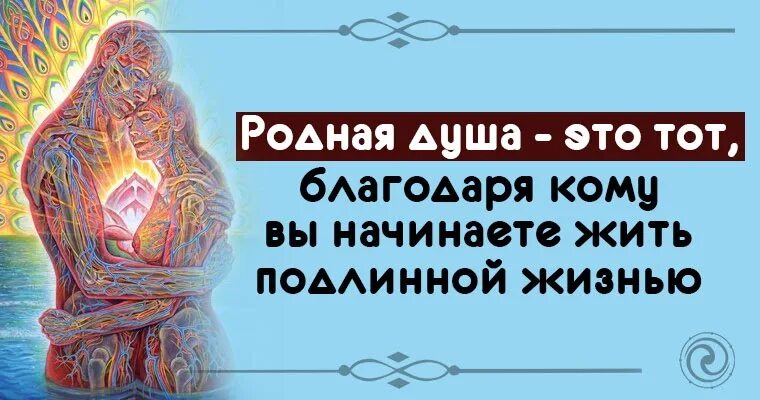 Родная душа 9. Родственные души. Родная душа это тот благодаря кому вы начинаете жить подлинной жизнью. Родная душа. Родственные души цитаты.