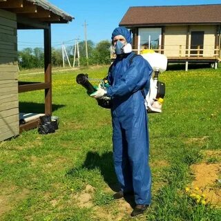 Газация