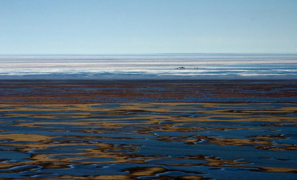 Бассейн океана моря лаптевых. Море Лаптевых. Южный берег моря Лаптевых. Тундра море Лаптевых. Саха Якутия море Лаптевых.