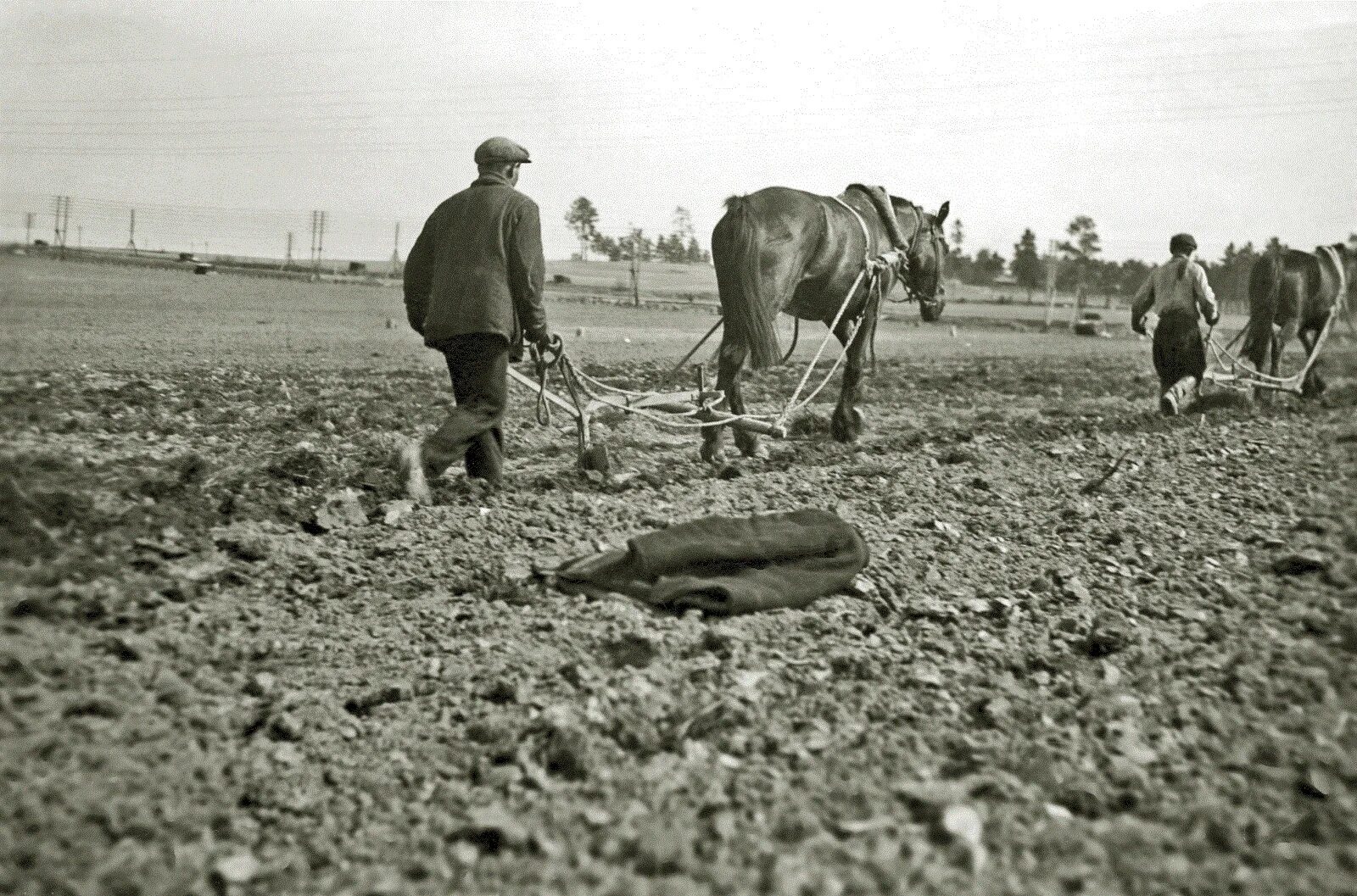 крестьяне в советское время. крестьяне в советское время. колхоз ссср. советские женщины колхозницы. сельское хозяйство ссср в 50-е 60-е годы.