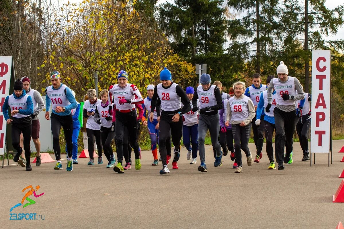 сайт центра физической культуры. «республиканский центр физической культуры и спорта». центр физкультуры и спорта фрунзенского района сайт. гто уфа. цфксиз василеостровского района.