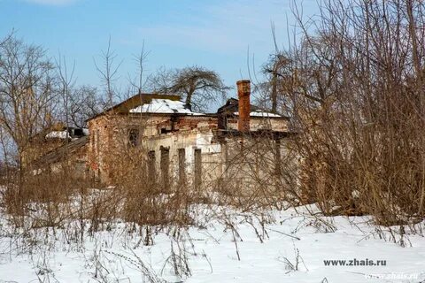 Пертово рязанская область