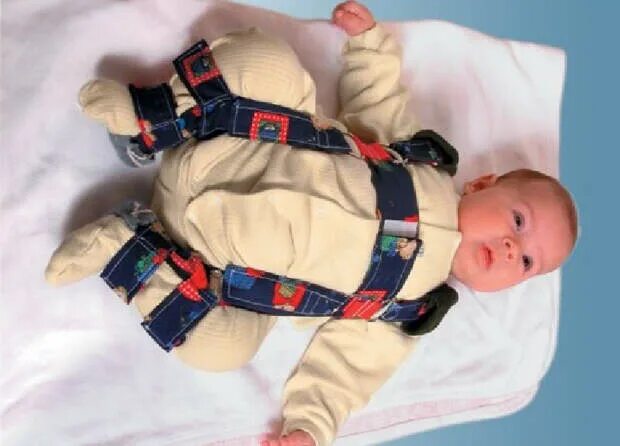 Стремена павлика фото – Telegraph