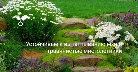 Подножье горки