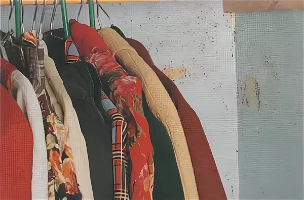 Шкаф для ношеной одежды. Плесень на задней стенке шкафа. Грибок в шкафу с одеждой. Плесень в шкафу. Зеленая плесень на одежде.