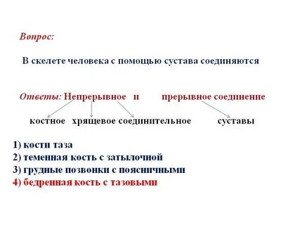 Непрерывная ответ 1
