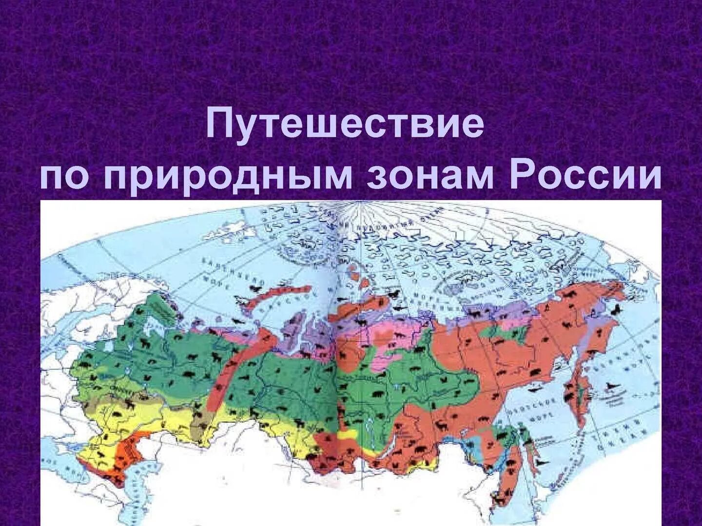 Зона тундры и лесотундры на карте России. Контурная карта зоны арктических пустынь тундры и лесотундры. Зона тундры на карте природных зон. Природныетзоны России.