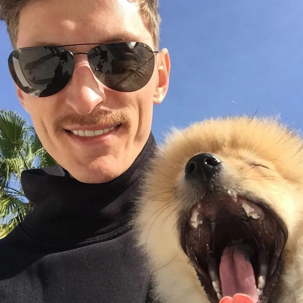 Кот паши воли. Собаки воли. Кот павла воли. Собака лийсан утяшевой. Собака инопланетянин.