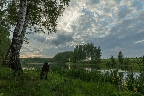 Плехановские пруды