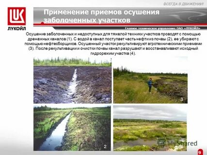 Осушение способствует