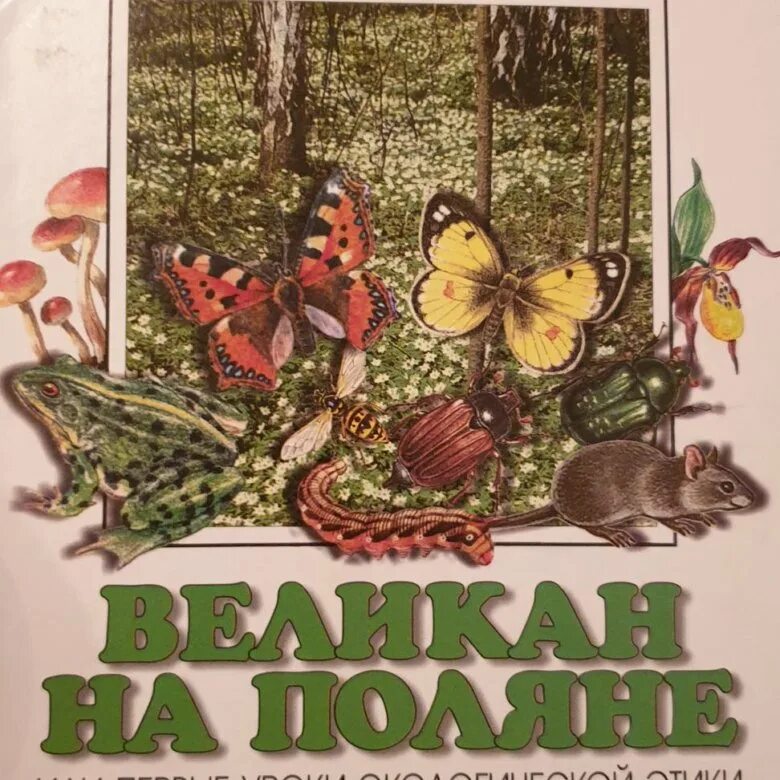 Великан на поляне 4 класс окружающий мир. Великан на поляне 3. плешаков великан на поляне 3 класс. великан на поляне страница 4. великан на поляне 3 класс окружающий мир.