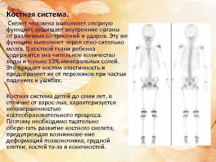 Ткань выполняющая опорную функцию организма. Костная система ребенка. Костная система выполняет. Костная система детей дошкольного возраста. Функции костной системы у детей.