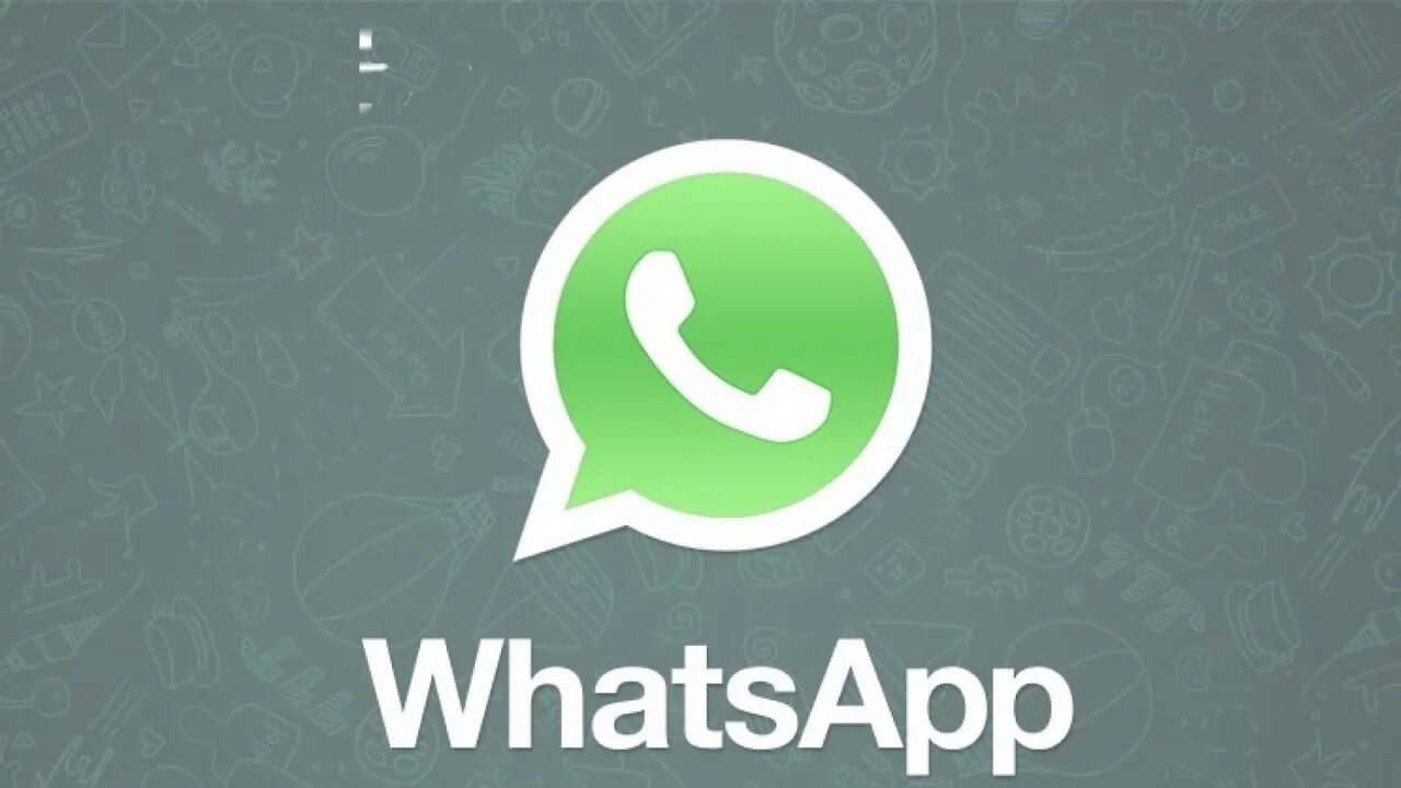 Whatsapp notifications. Whatsapp notifications