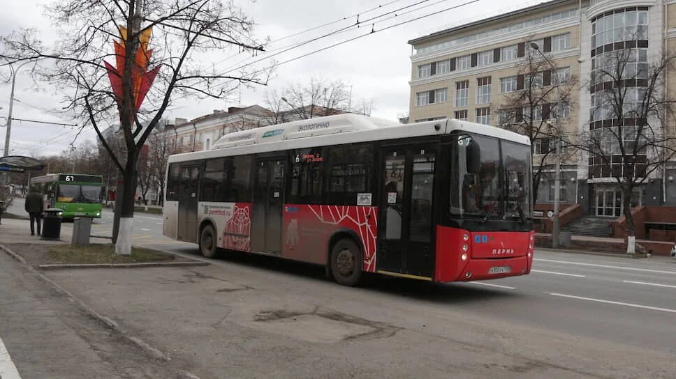 Транспорт пермь в реальном времени. 58 автобус пермь. автобус 26 пермь перевозчик. 28 автобус пермь. красные автобусы пермь перевозчик.