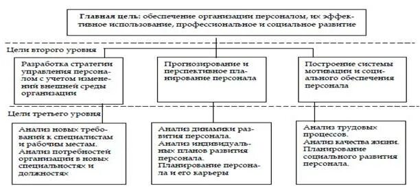 Система управления персоналом и ее цели. Система управления персоналом и ее цели