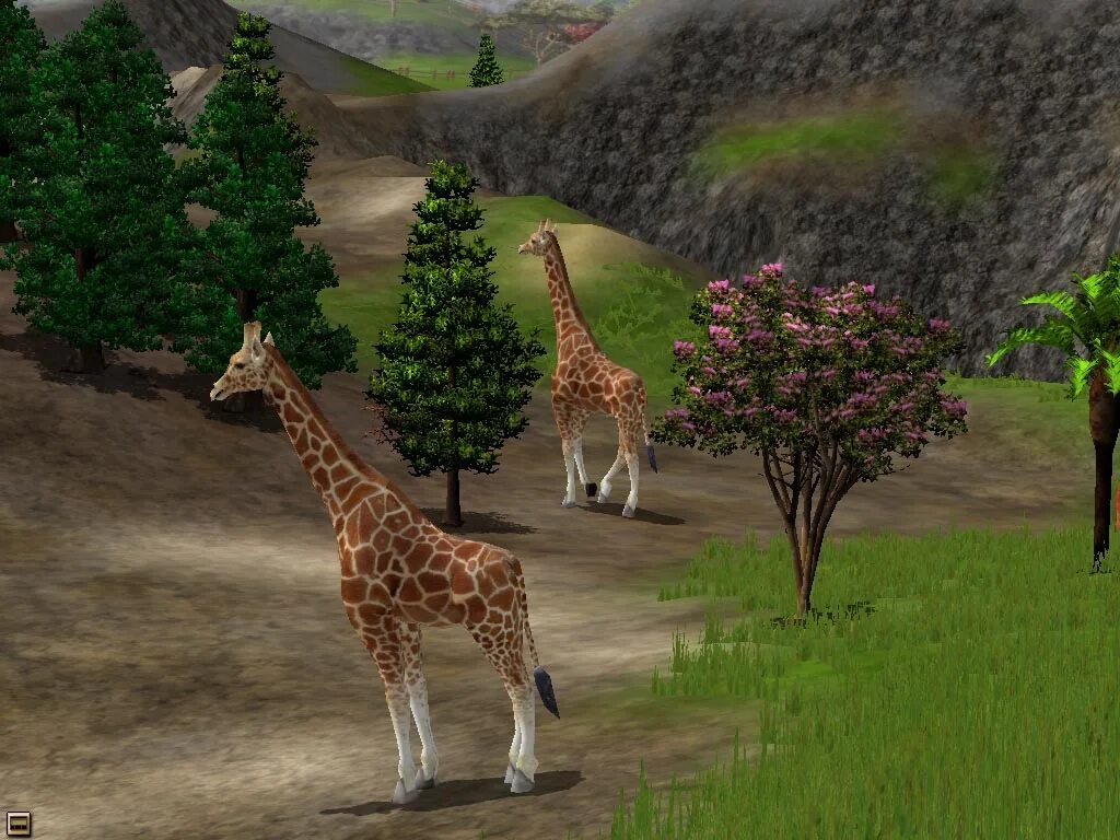 Wildlife Park 2. Wildlife Park 2 Crazy Zoo. Wildlife Park 3 животные. Игра: Wildlife Park 2 Crazy Zoo.