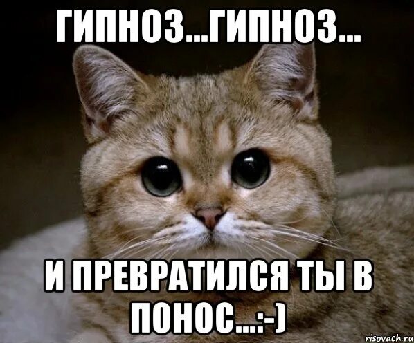Звук поноса мп3. Звук поноса мп3