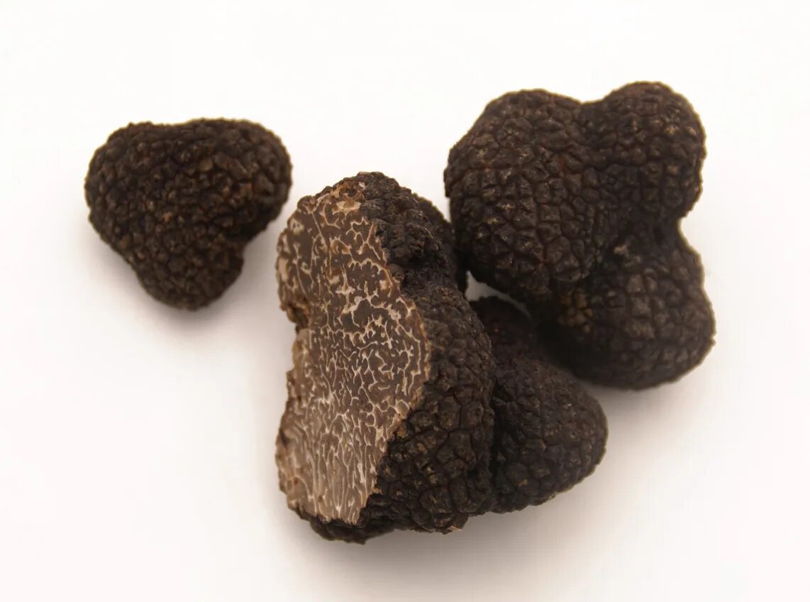 трюфель «черный роше». крымский трюфель гриб. трюфель летний – tuber aestivum. трюфель текстура. сорт трюфель.