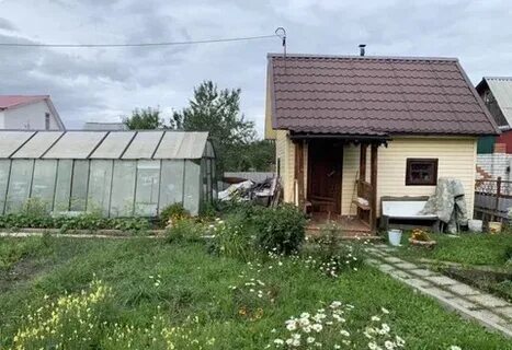 Медик дачи