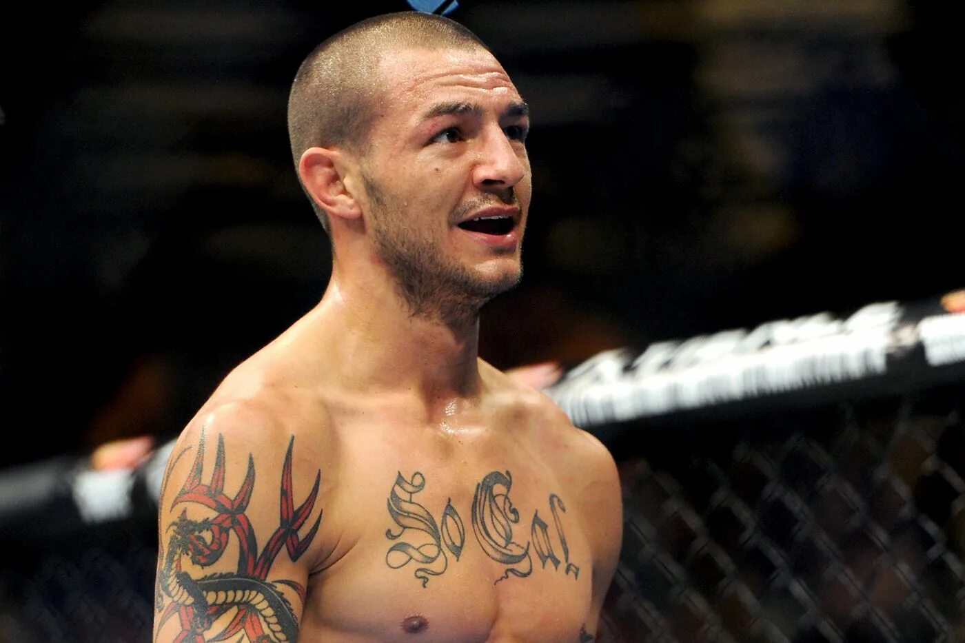 Свонсон фото. Свонсон фото. Каб свонсон тату. Каб свонсон американский боец без правил. Cub swanson.