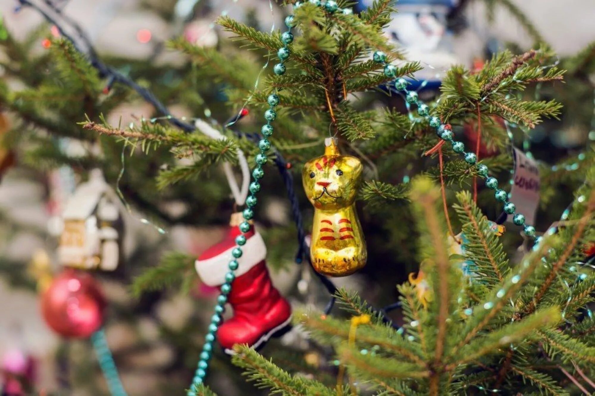 что повешали на елку в израиле. как на елку развесить разные игрушки. как украшали елку в военные годы. новогодняя ель. как правильно развесить гирлянду на елку.