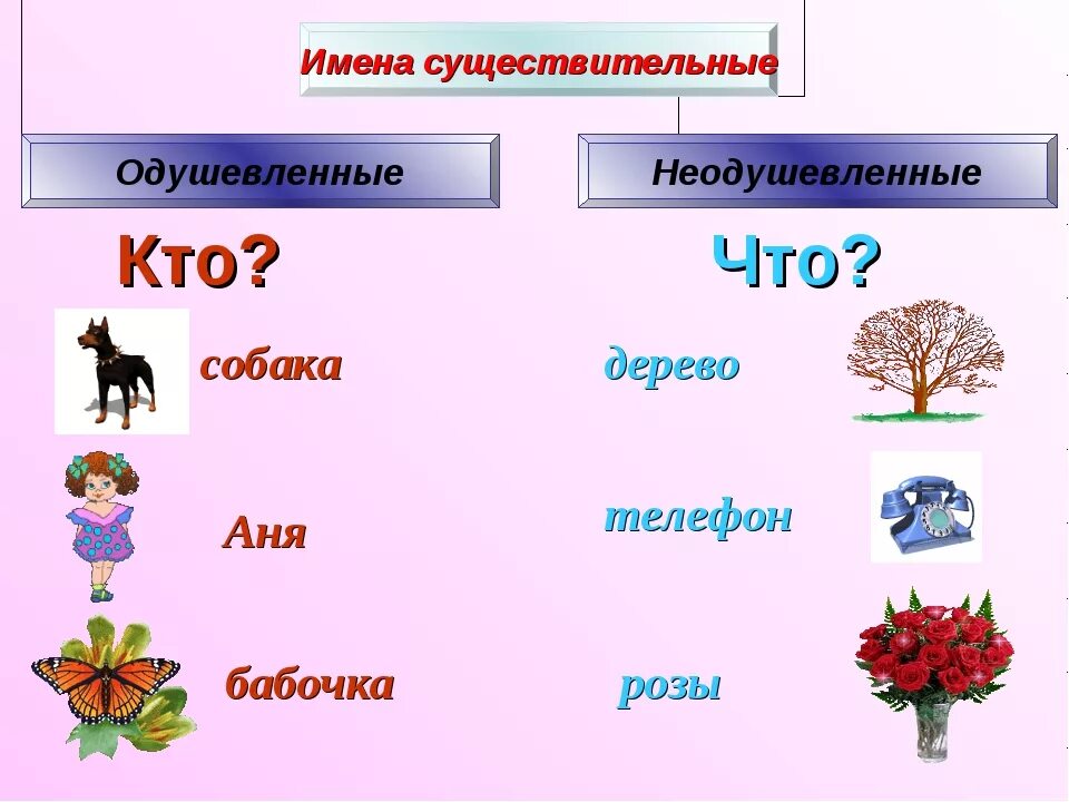 Слово цветами какой род. Одушевленные и неодушевленные имена существительные. Одушевленное и неодушевленное имя существительное. Неодушевленные предметы. Дерево одушевленное или неодушевленное существительное.