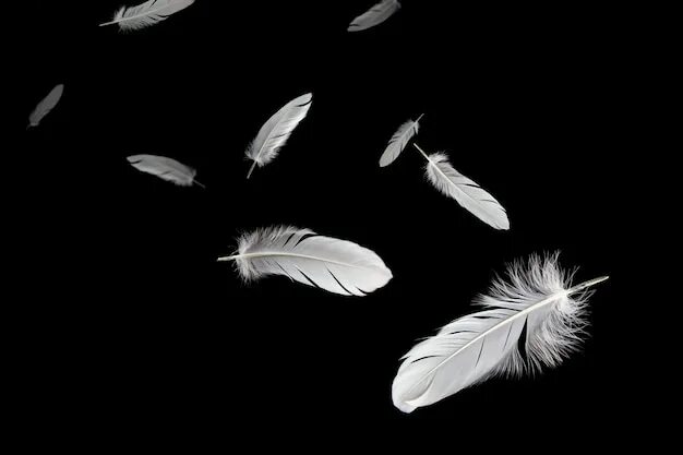 Flying feather